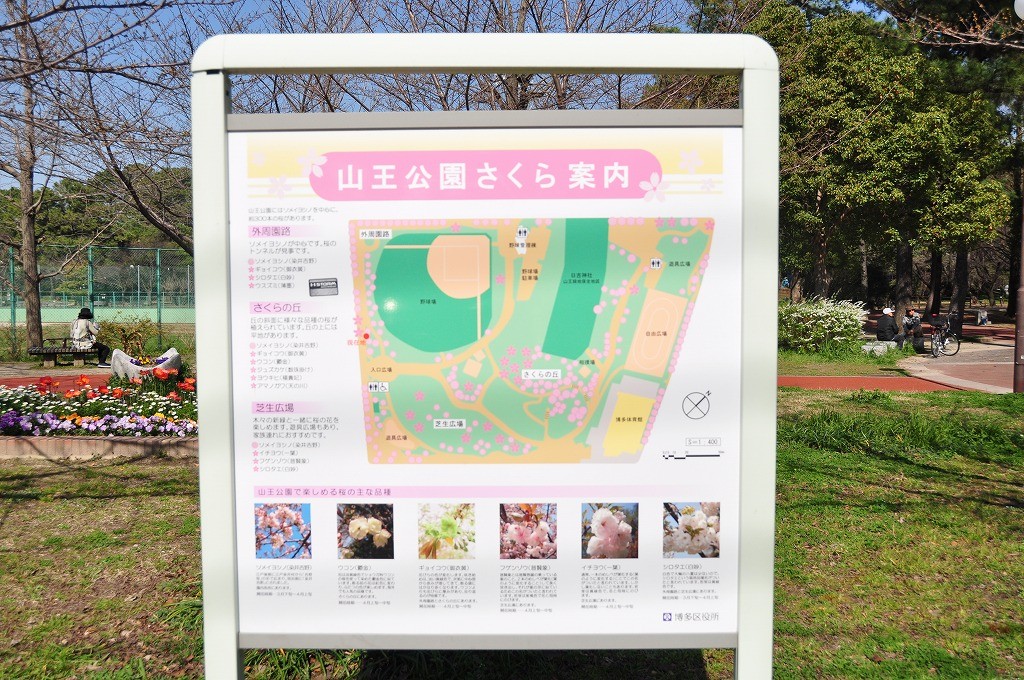 山王公園6