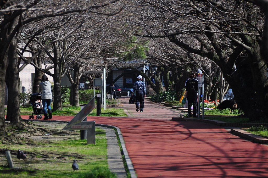 山王公園4