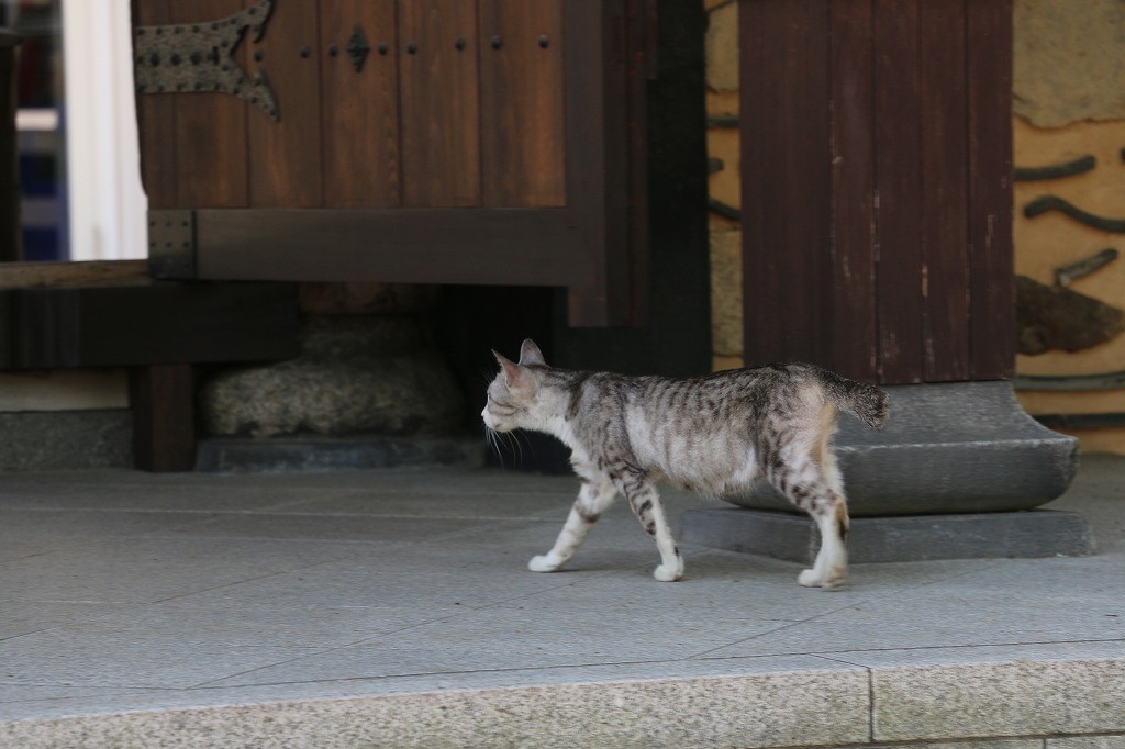 聖福寺3