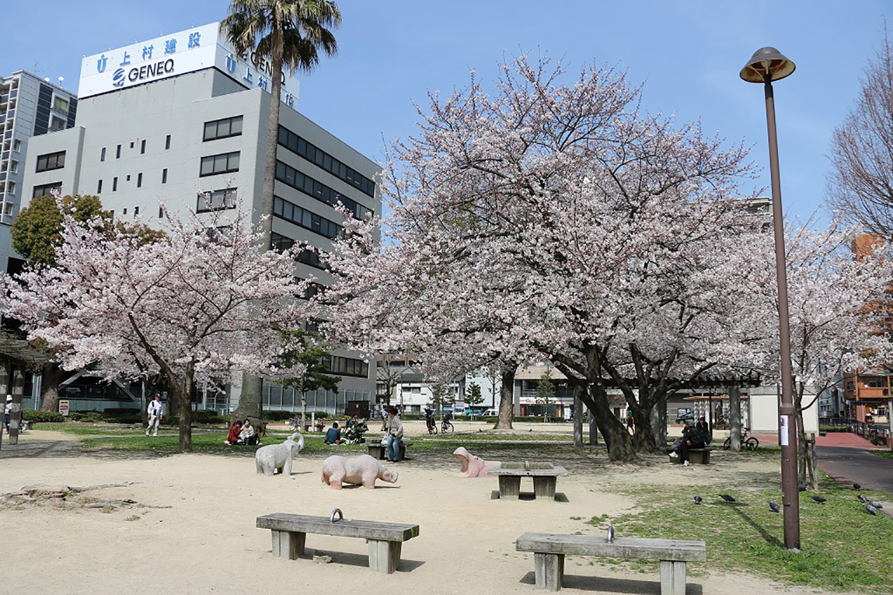 住吉公園の桜
