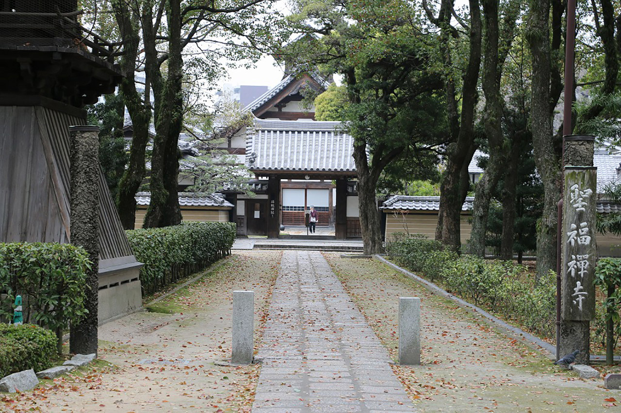 聖福寺の桜2