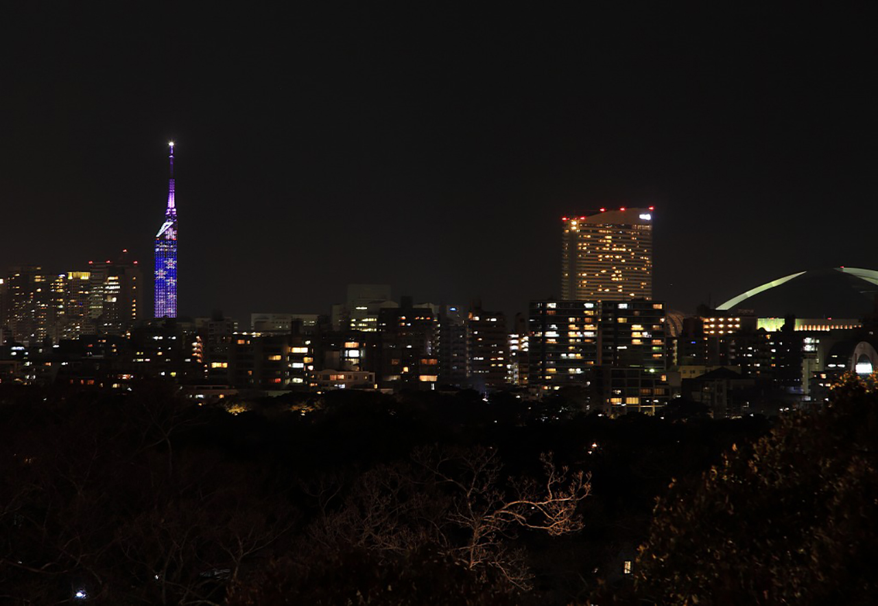 福岡タワー　桜のイルミネーション