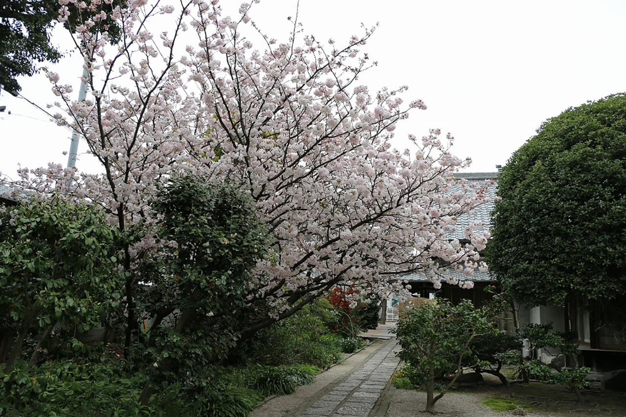 禅宗　順心寺1