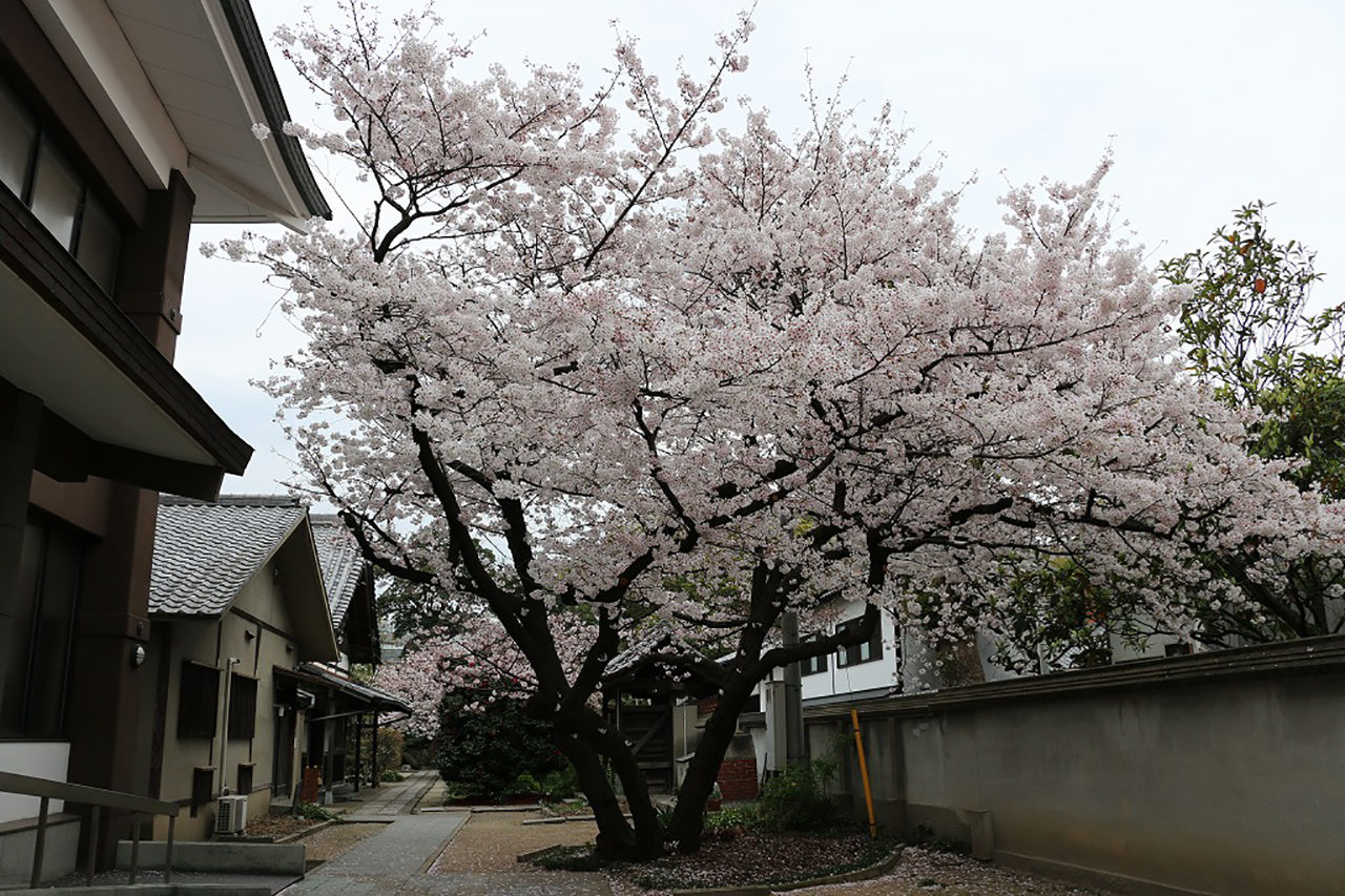 禅宗　順心寺2